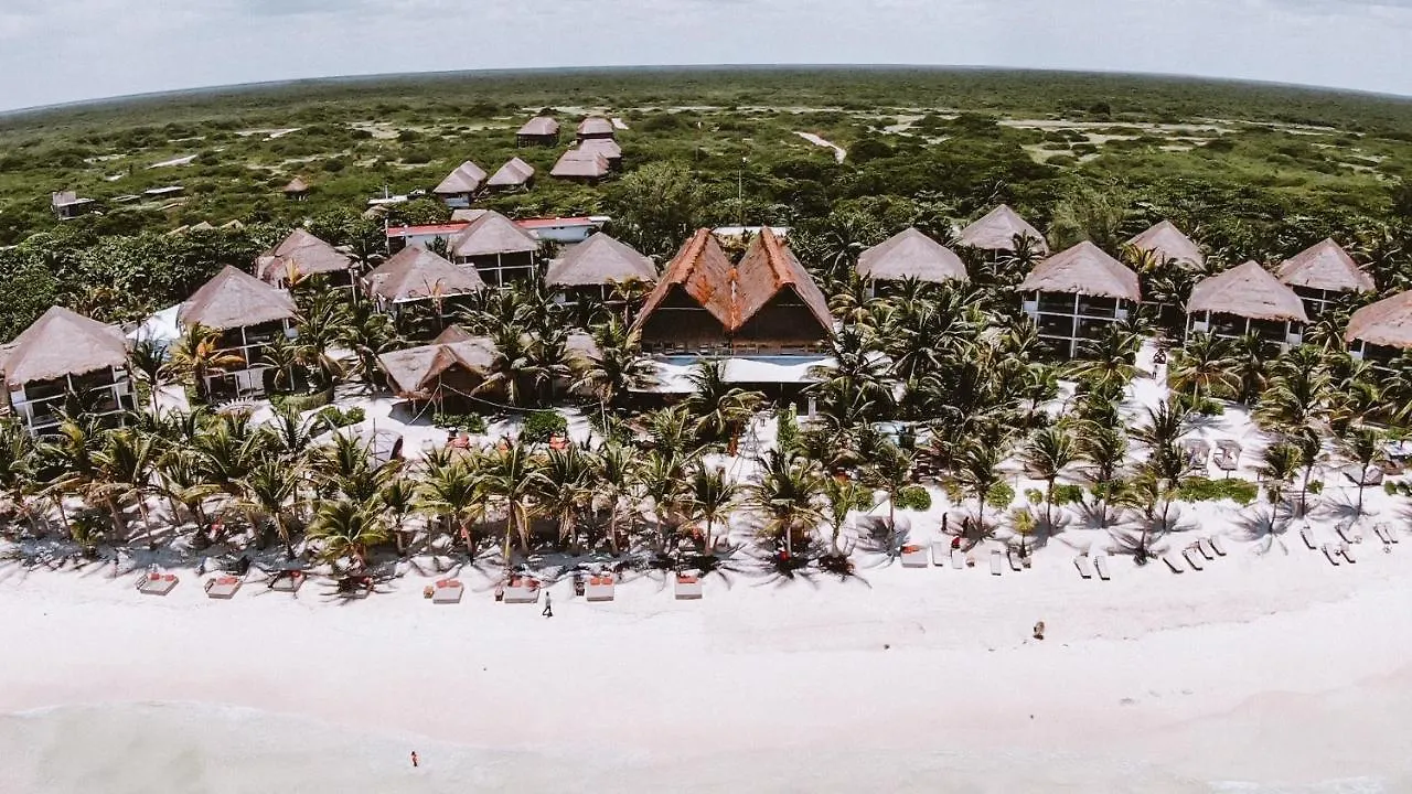 Brand New Tulum Luxury 2Bd 2Bath Condo With Rooftop Pool 公寓