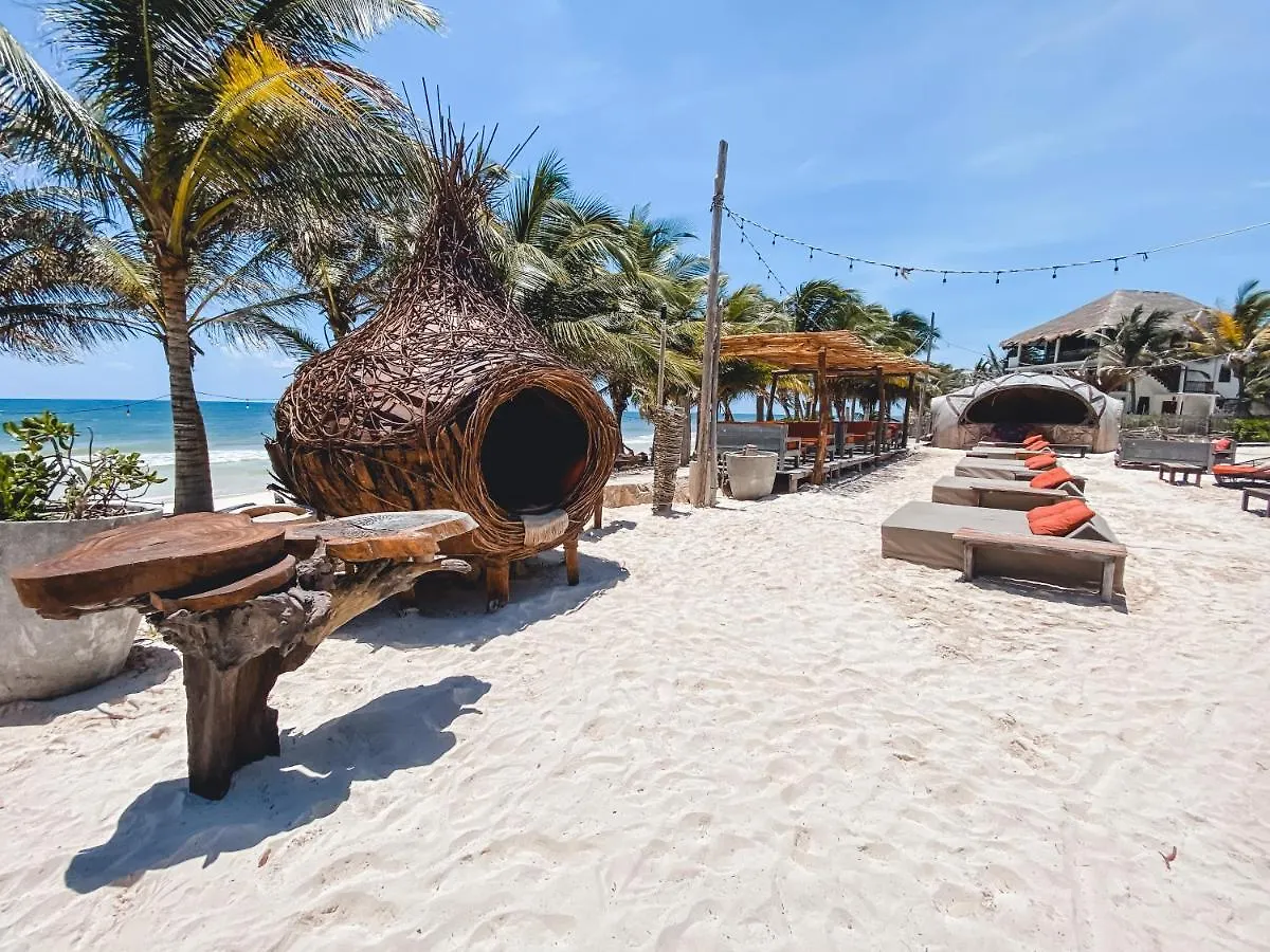 Apartment Brand New Tulum Luxury 2Bd 2Bath Condo With Rooftop Pool