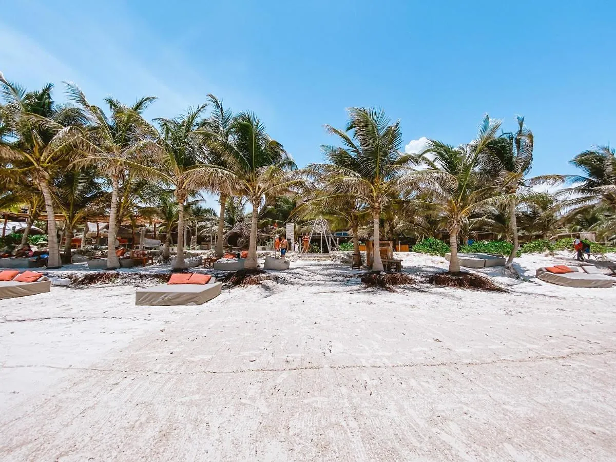 Apartment Brand New Tulum Luxury 2Bd 2Bath Condo With Rooftop Pool Mexico